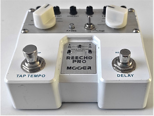 Mooer Reecho Pro Digital Delay/Looper Pedal (2 foto / 3)