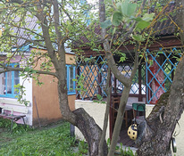 Suvila Kulgu peal