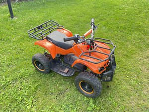 Nitro elektriline ATV 800w 36V (3 foto / 5)