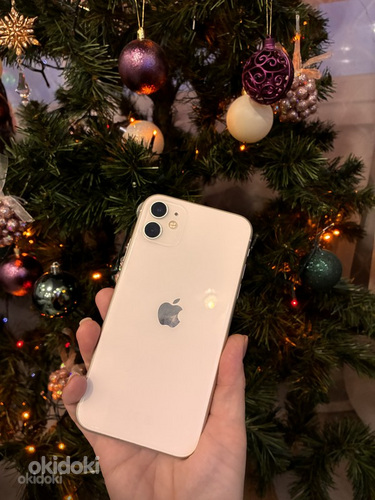 Apple 11