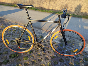 Jalgratas GUST RIGA 28" (3 foto / 6)
