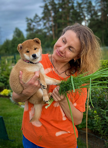 Shiba inu girl (2 foto / 4)