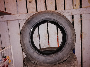 Sava Eskima Stud naastrehvid 205/60 R16 (6 foto / 6)