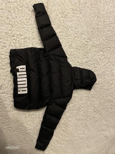 Куртка puma