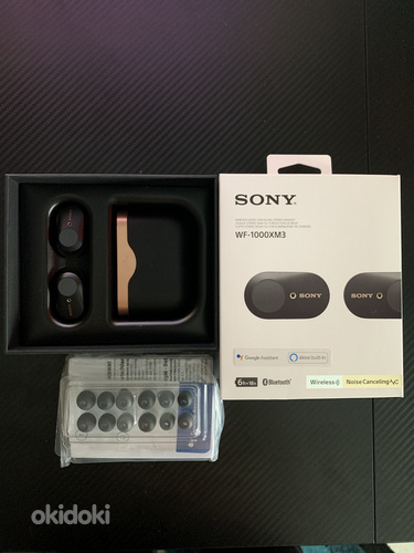 Kõrvaklapid Sony WF-1000XM3 (foto #2)