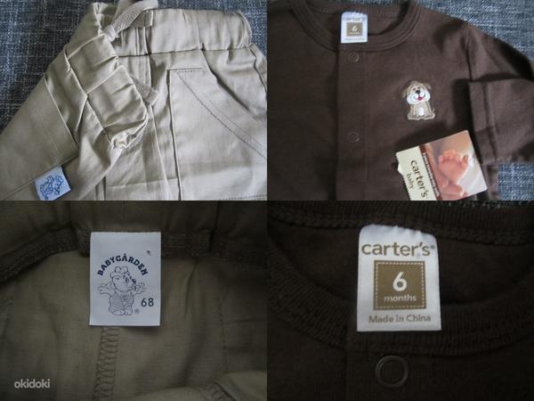 Kampsun"Carters"(0-6kuud) + lühikesed püksid "Babygarden" (foto #3)