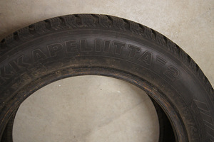 NOKIAN Hakapeliita 2, 185/65 R15 2tk (5 foto / 5)