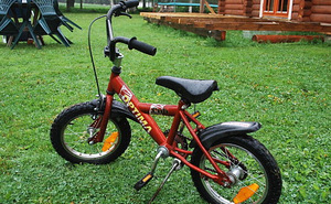 Детский велосипед 14'' OPTIMA CUB (1 фото из 1)