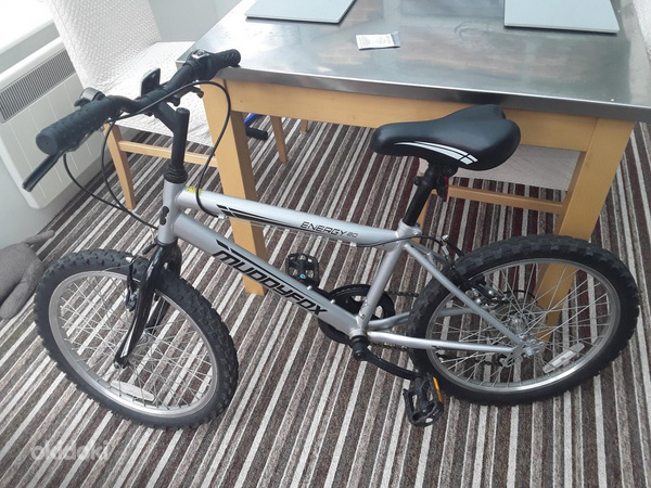 Muddyfox jalgratas 20