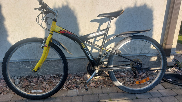Jalgratas täiskasvanutele