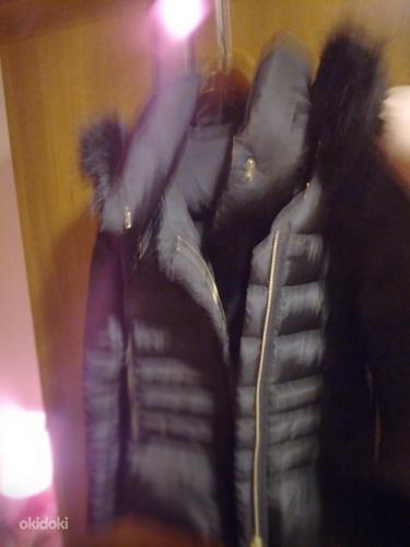 Продаю теплую зимнюю женскую куртку Mango (фото #3)