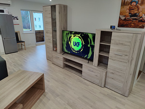 TV sektsioon (4 foto / 4)