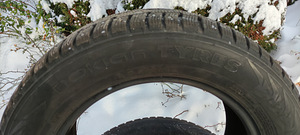 Naastrehvid R16 (3 foto / 5)