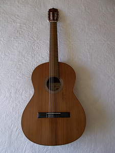 Классическая Испанская гитара Vicente Sanchis модель 28