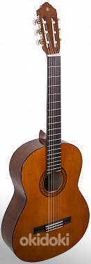 Yamaxa c40