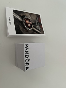 Pandora käevõru võlu (2 foto / 4)