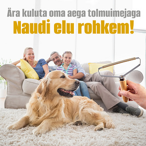Ebeme ja lemmikloomade karvade eemaldamise hari (8 foto / 9)