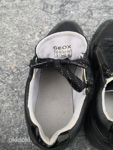 Geox tossud / ketsid suurus 36, mugavad kooli