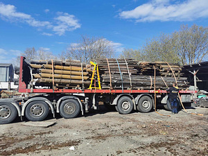 Müüa 160m2 palkmaja (9 foto / 9)
