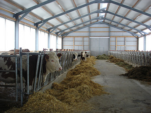 LIHAVEISEFARMI ja PIIMAVEISEFARMI SEADMED Trussivarustus (4 foto / 8)