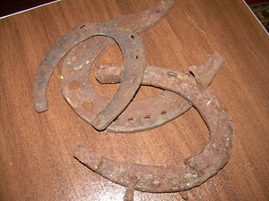 Hobuserauad (1 foto / 3)