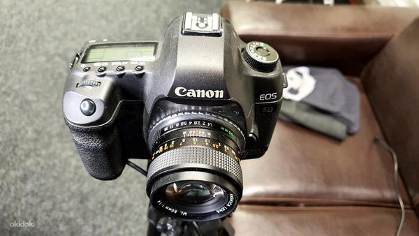 Canon 5D MKII + Canon USM 35-135 f4-5.6 (фото #1)