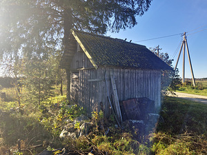 Kingu, Kaave, Jõgeva vald, Jõgevamaa (3 foto / 15)