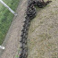 Зчіпка з залізничною рейкою 3,5 метрів причіпна (фото #2)