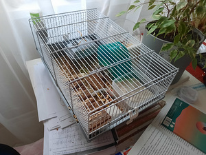 Hamster (+puur+toit) (2 foto / 3)