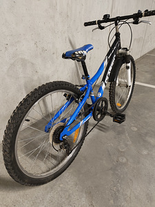 24" Classic Star 2.2 (6 käiku) (6 foto / 9)