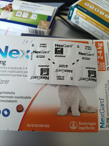 NexGard kirpude ja puukide vastu (2 foto / 2)