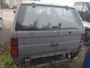 Nissan terrano (2 фото из 6)