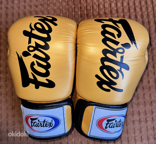 Fairtex BGV19 10oz