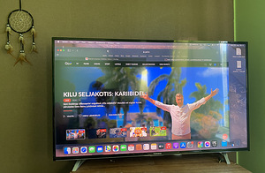 Smart tv 55tolli, Thomson (5 foto / 9)
