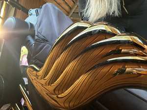 Cybex by Jeremy Scott komplekt (3 foto / 10)