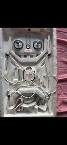 Droon Zuma (4 foto / 7)