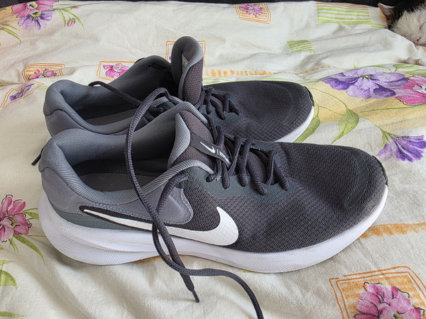 Originaalsed Nike Revolution 7 tossud — Suurus 46 (30 cm)