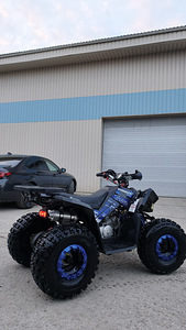 ATV 125CC 4 tact (4 foto / 6)