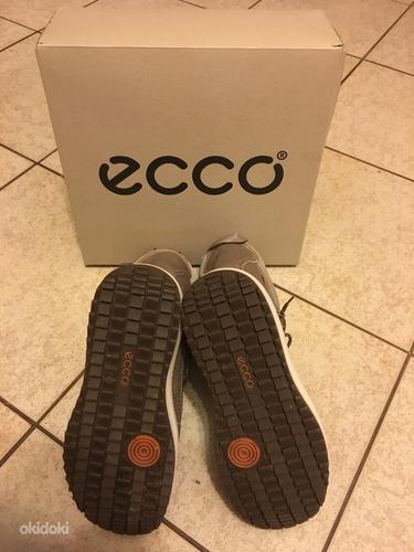 Новые женские Ecco ботинки, размер 38 (фото #3)