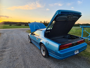 Pontiac Firebird 5.7 TPI; Manuaal; Targa (11 foto / 14)