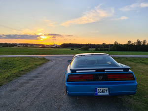 Pontiac Firebird 5.7 TPI; Manuaal; Targa (5 foto / 14)