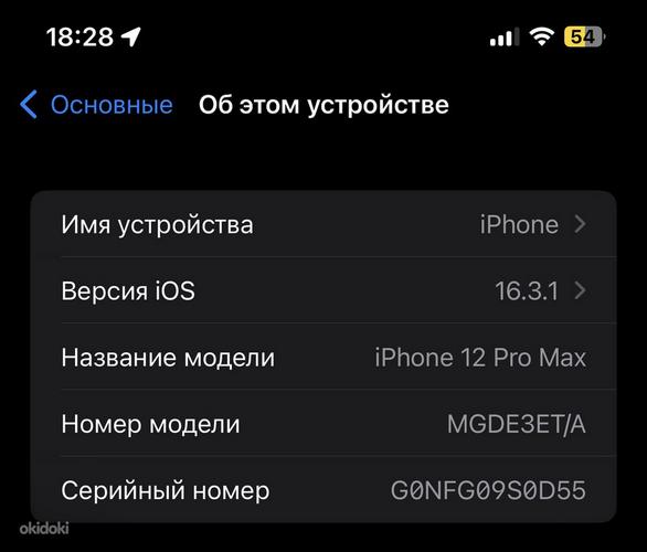 iPhone 12ProMax 256GB Gold (seisukord A) (foto #5)