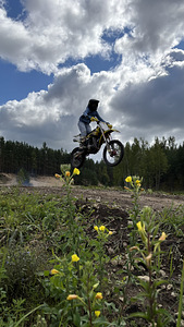 Suzuki RM85L (6 фото из 10)