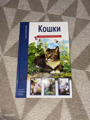 Книга для детей про породы котов (фото #1)