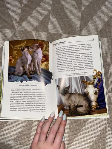 Raamat lastele kassitõugudest (foto #3)