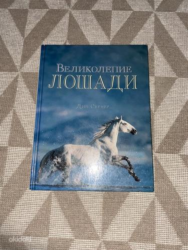 Книга про лошадей (фото #1)