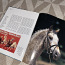 Книга про лошадей (фото #2)