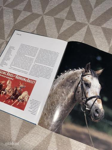 Книга про лошадей (фото #2)