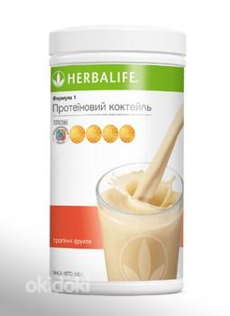 Herbalife - Protein Shake, 550 g (foto #5)