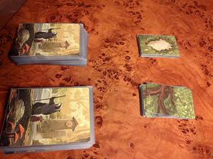 Everdell lauamäng vene keeles (3 foto / 5)